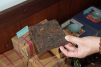 Ilustracja: gatunek herbaty czerwonej